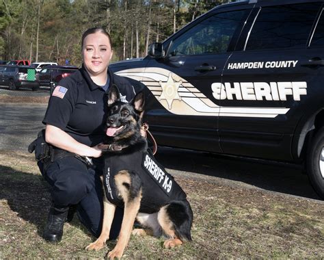 Published Mar. . Hampden county sheriff